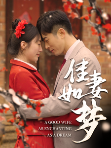 佳妻如梦（62集全） - 海之城短剧