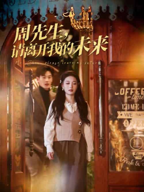 周先生，请离开我的未来（60集全）易恒 - 海之城短剧