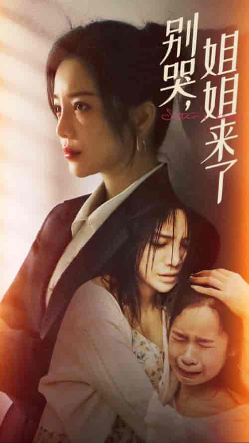 别哭，姐姐来了（60集） - 海之城短剧