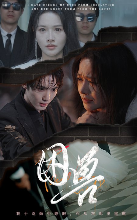 困兽（31集全）曹千祎 - 海之城短剧