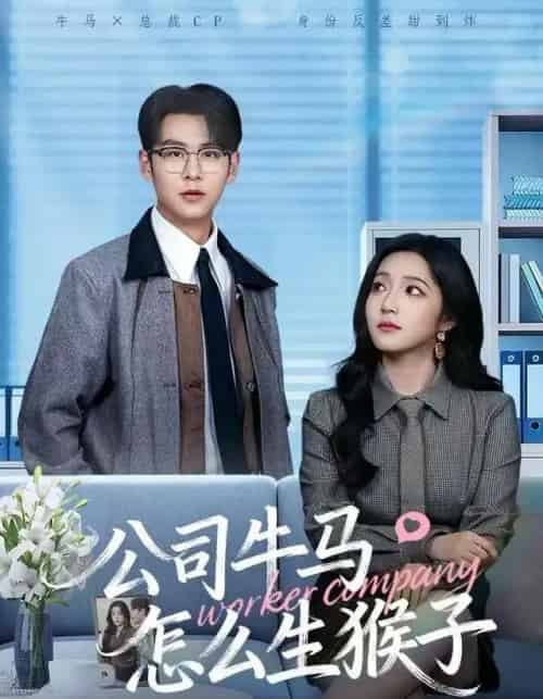 公司牛马怎么生猴子（80集全）阚梓艺＆孔德瑞-海之城短剧项目