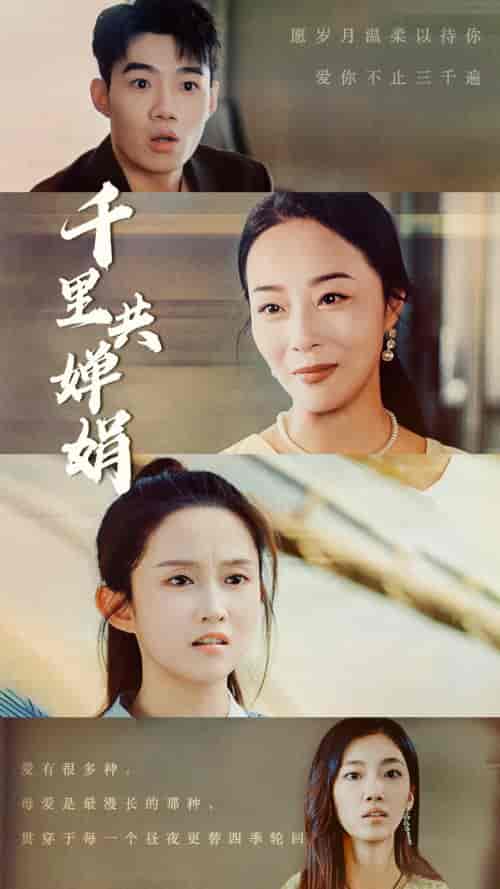 千里共婵娟 千里共婵娟