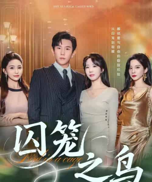 囚笼之鸟（52集全）程澄＆彭丹丹（彭呆呆）-海之城短剧项目