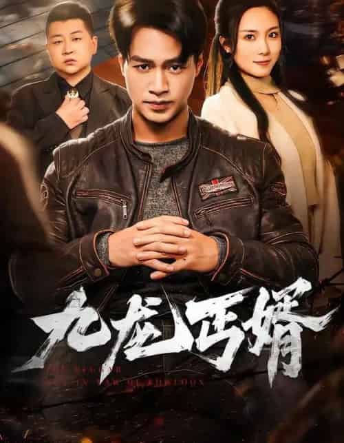 九龙丐婿（81集全）鄢子纶＆苏寰-海之城短剧项目