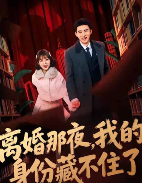 离婚那夜，我的身份藏不住了（66集全）姚晶乐＆刘渝展-海之城短剧项目