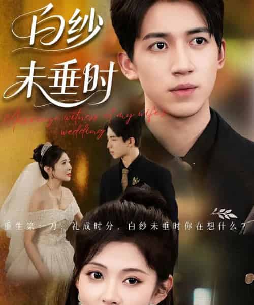 老婆婚礼我当证婚人＆白纱未垂时（54集）钟煜霖＆陆碧霄 - 海之城短剧