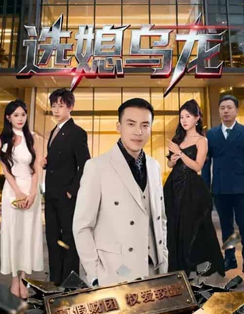 选媳乌龙（80集全）李星辰＆李尚宇-海之城短剧项目