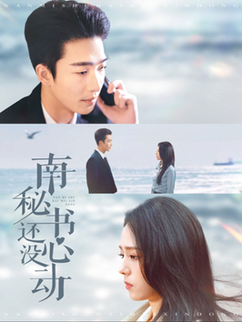 南秘书还没心动（92集全）姚冠宇＆翟成露 - 海之城短剧