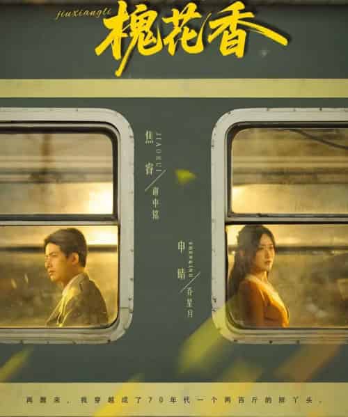 旧时光里槐花香（70集全）申晴＆焦睿-海之城短剧项目