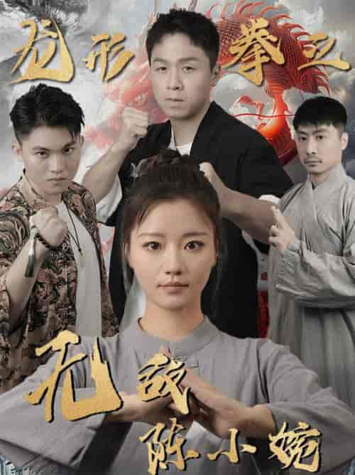 龙形拳之无敌陈小婉（60集全） - 海之城短剧
