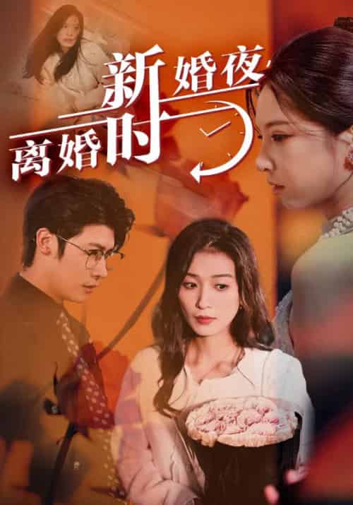 新婚夜，离婚时（35集全）江天宇＆江天颖 - 海之城短剧