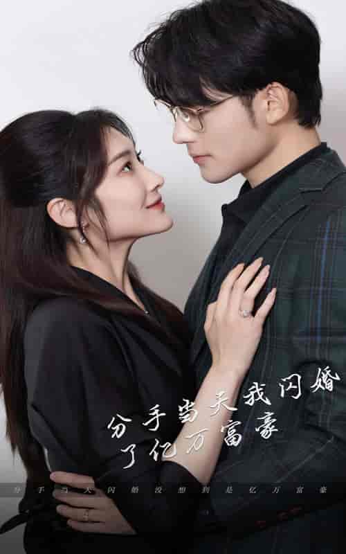新版:分手当天,我闪婚了亿万富豪 新版:分手当天,我闪婚了亿万富豪