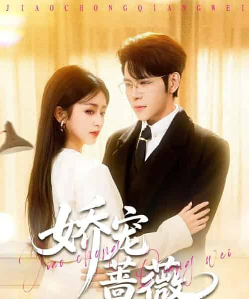 娇宠蔷薇（93集全）杨彦光＆芷芃-海之城短剧项目