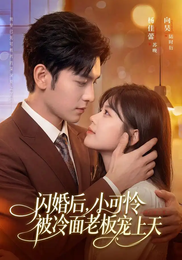闪婚后小可怜被冷面老板宠上天（87集）杨佳蕾＆向昊（1080P）-海之城短剧项目