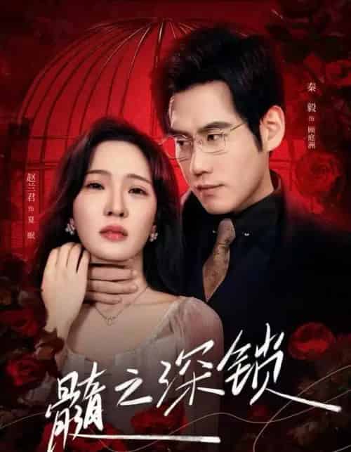 髓之深锁（84集全）赵兰君＆秦毅-海之城短剧项目