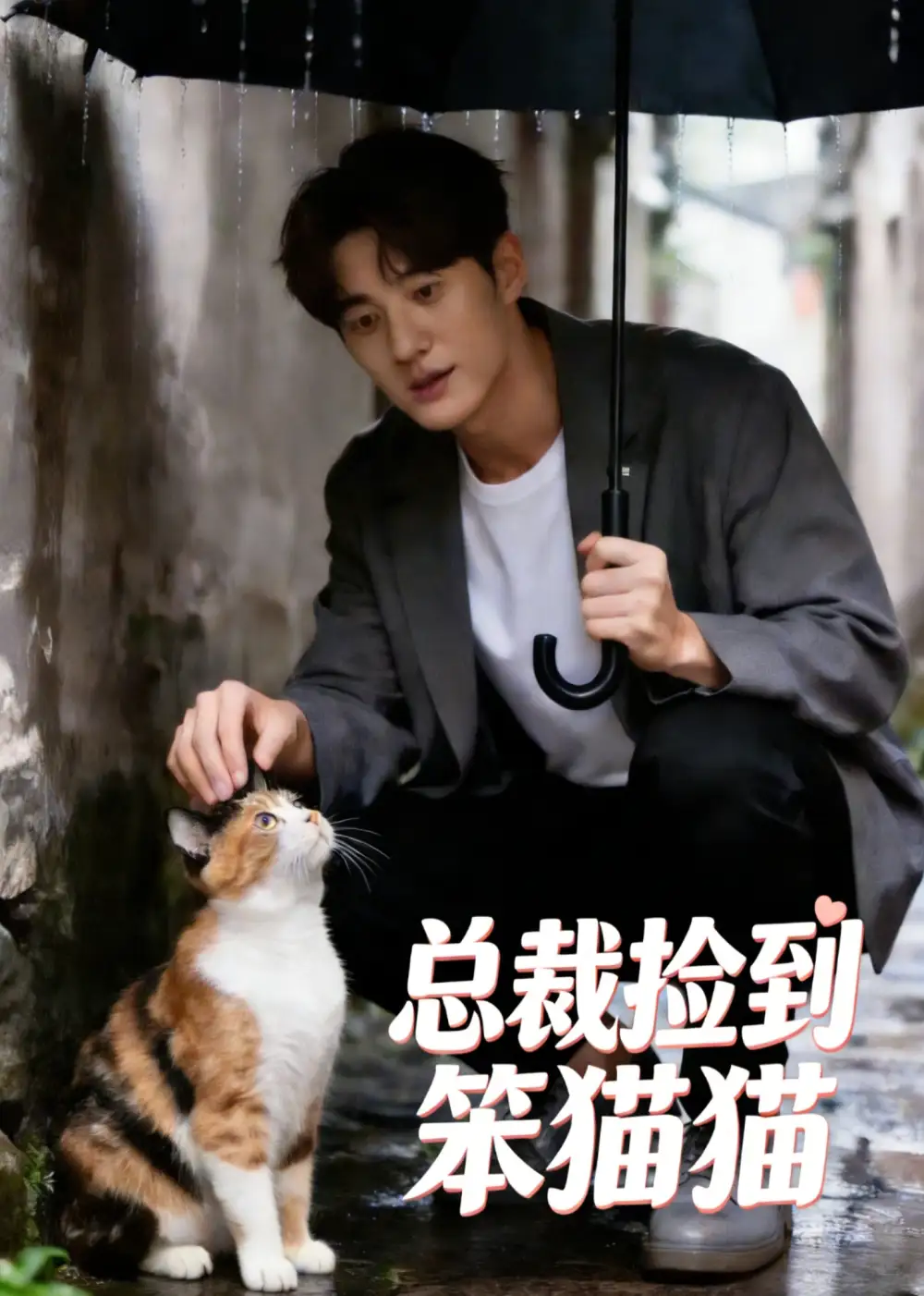总裁捡到笨猫猫（41集）-海之城短剧项目