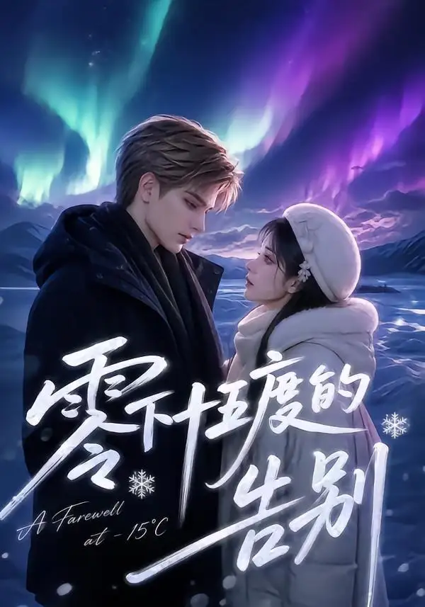 零下十五度的告别（56集）-海之城短剧项目