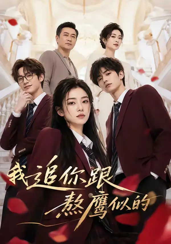 我追你跟熬鹰似的 我追你跟熬鹰似的