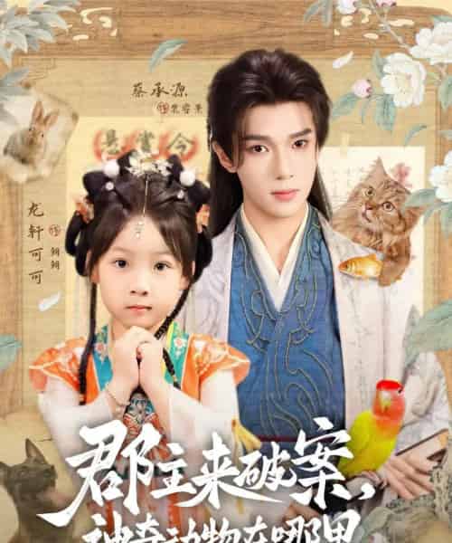 郡主来破案神奇动物在哪里（69集）蔡承源＆龙轩可可 - 海之城短剧