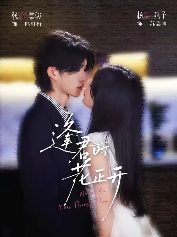 逢君时花正开（72集）张集骏＆杨殊予（1080P） - 海之城短剧