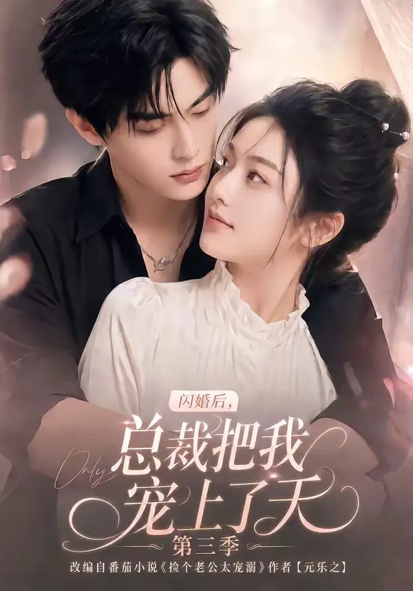 闪婚后总裁把我宠上了天第三季（107集） - 海之城短剧