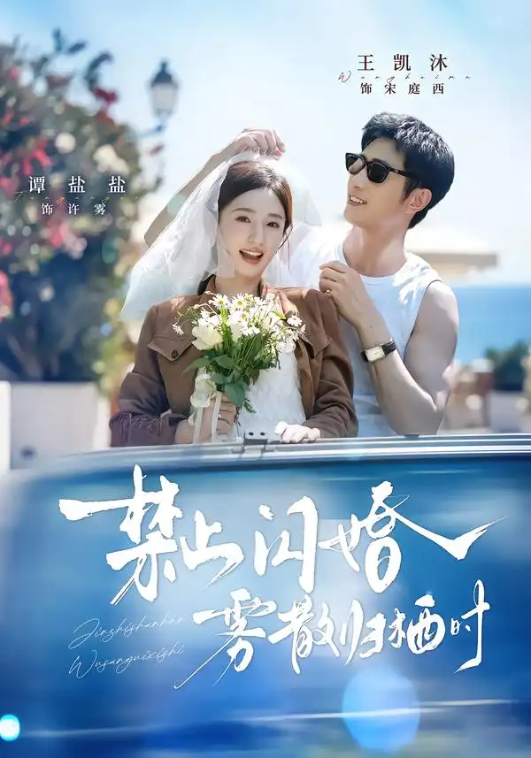禁止闪婚雾散归栖时（66集）王凯沐＆谭盐盐（1080P） - 海之城短剧