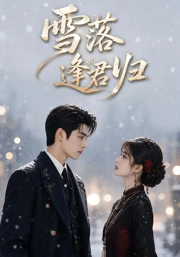 雪落逢君归 雪落逢君归