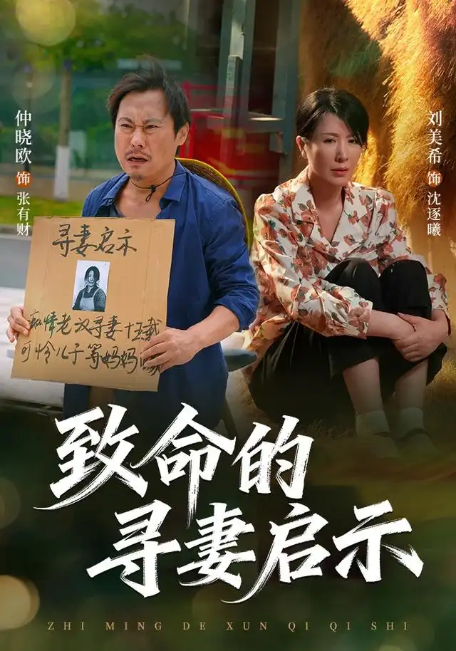 致命的寻妻启示 致命的寻妻启示