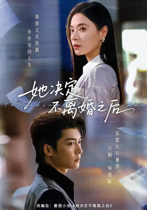 她决定不离婚之后 她决定不离婚之后