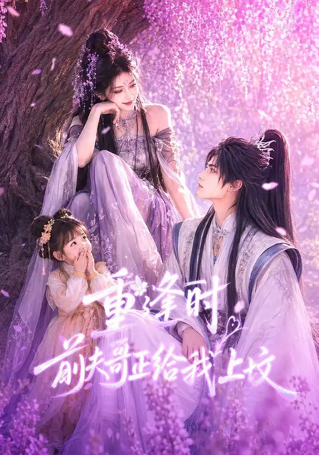 重逢时前夫哥正给我上坟（67集） - 海之城短剧