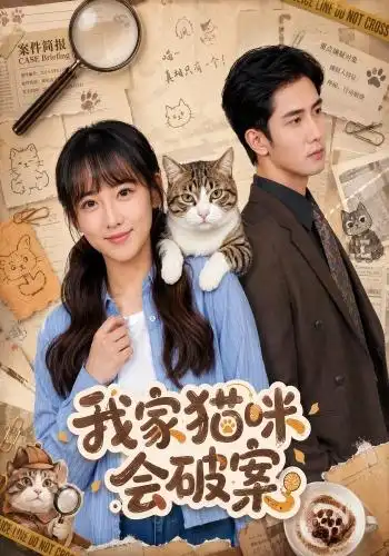 我家猫咪会破案 我家猫咪会破案