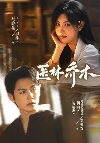 医林乔木（73集）黄靖洲＆马晓伟（1080P）-海之城短剧项目