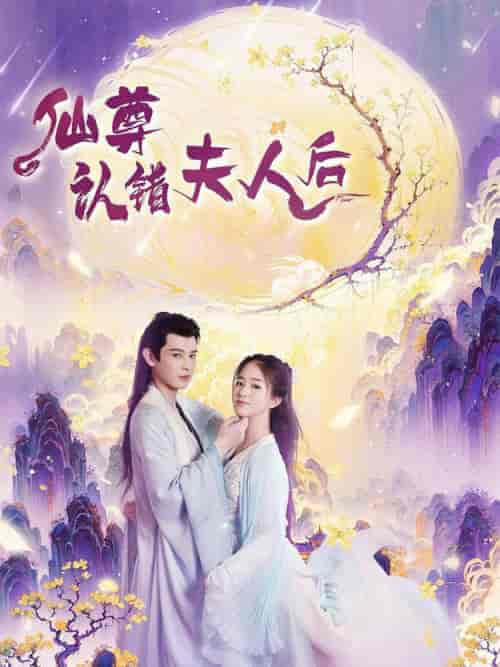 仙尊认错夫人后（64集全）张灿 - 海之城短剧