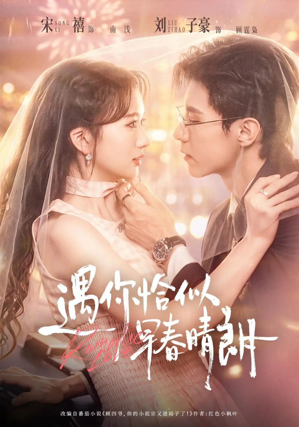 遇你怡似（42集）刘子豪＆宋禧 - 海之城短剧
