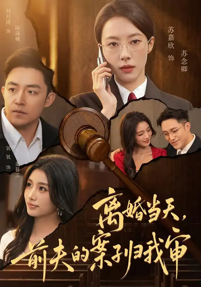离婚当天前夫的案子归我审（63集）苏嘉欣＆刘月涛-海之城短剧项目