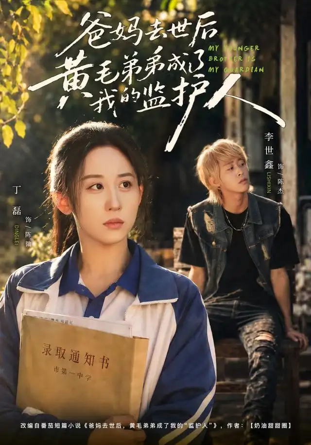 爸妈去世后黄毛弟弟成了我的监护人（70集）丁磊＆李世鑫-海之城短剧项目
