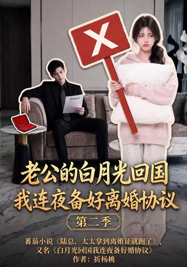 老公的白月光回国我连夜备好离婚协议第二季（165集）-海之城短剧项目