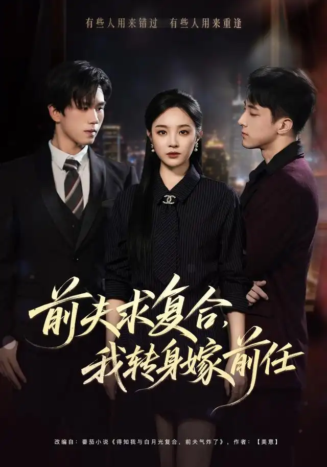 前夫求复合我转身嫁前任 前夫求复合我转身嫁前任