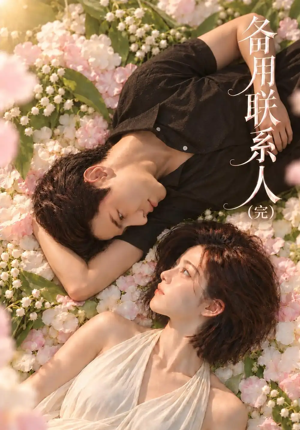 备用联系人（完）（106集）-海之城短剧项目