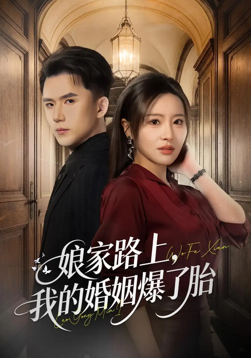 娘家路上我的婚姻爆了胎（78集）刘昕岚＆赵志盟-海之城短剧项目