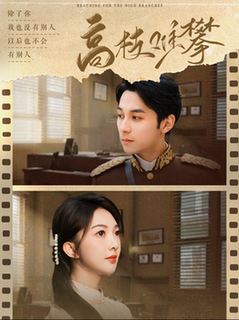 高枝难攀（80集全）张屹杨＆丁果 - 海之城短剧