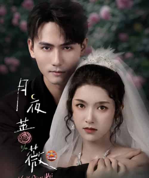 月夜蔷薇（72集全）谢予望＆卢鹿鹿-海之城短剧项目