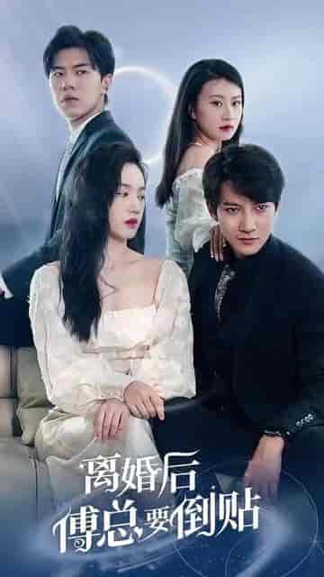 离婚后，傅总要倒贴（离婚后傅总要倒贴）105集 - 海之城短剧