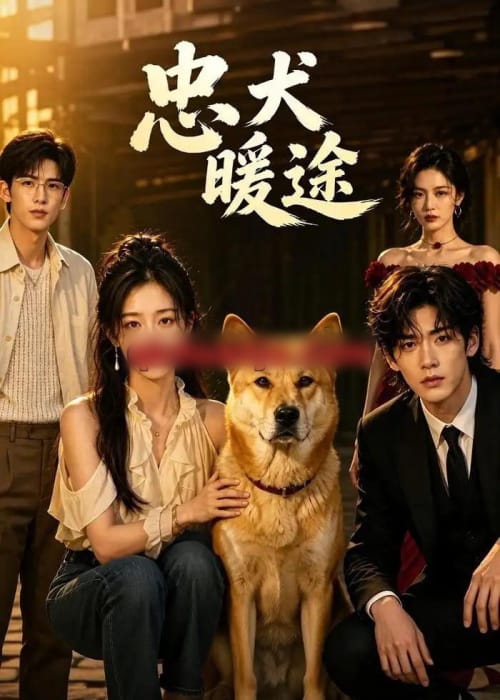 忠犬暖途（81集全）AI短剧-海之城短剧项目