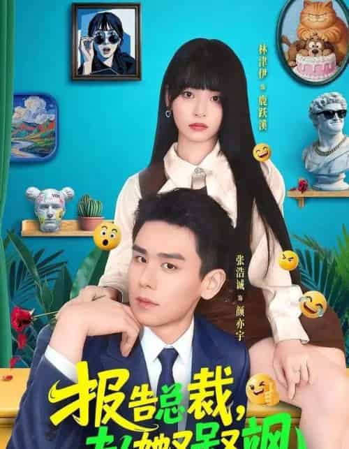 报告总裁，夫人她又呆又飒（82集全）张浩诚＆林津伊 - 海之城短剧