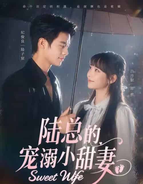 陆总的宠溺小甜妻（61集全）纪俊良＆吕丹妮-海之城短剧项目
