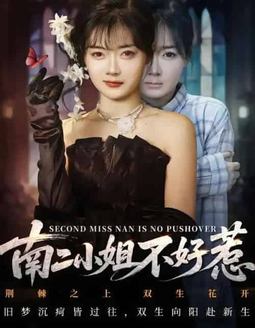 南二小姐不好惹 南二小姐不好惹