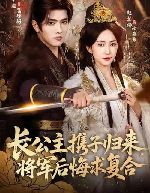 长公主携子归来，将军后悔求复合（80集全）赵慧楠＆王宇威-海之城短剧项目