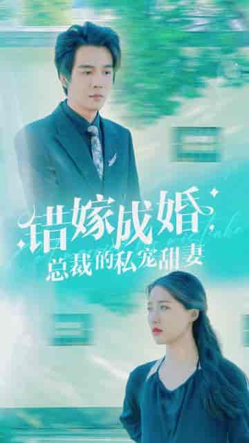 错嫁成婚总裁的私宠甜妻（80集＋长篇）戴凤仪＆杨承翰 - 海之城短剧
