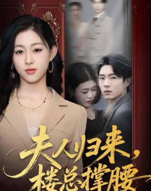 夫人归来，楼总撑腰（80集全）荣玉岩＆刘允甜-海之城短剧项目